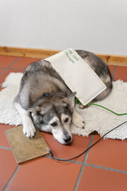 pes med bioresonanco